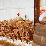Babinata Kashta-srebarna 3* Sreburna