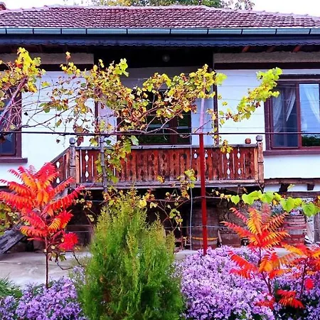 Pensionat Babinata Kashta-srebarna 3*