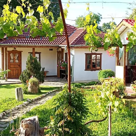 Babinata Kashta-srebarna Pensionat