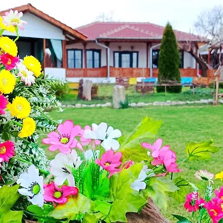 Pensionat Babinata Kashta-srebarna