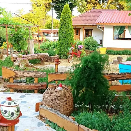 Babinata Kashta-srebarna Pensionat 3*