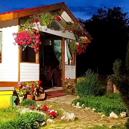 Babinata Kashta-srebarna Pensionat 3*