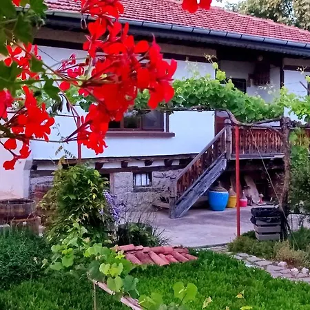 Babinata Kashta-srebarna Pensionat 3*