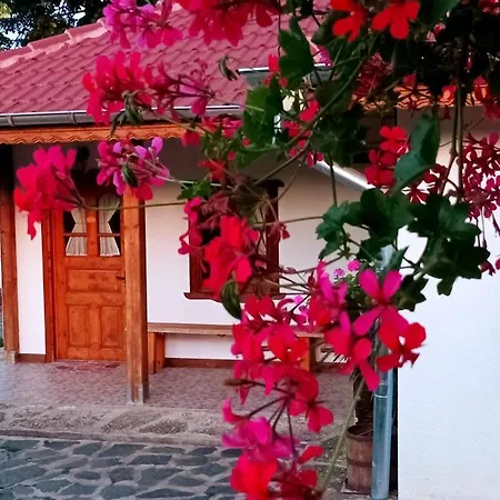 Pensionat Babinata Kashta-srebarna 3*